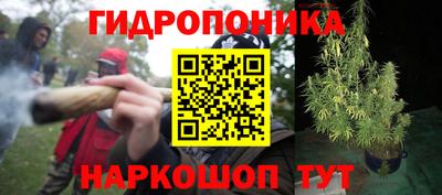 МДМА Можга