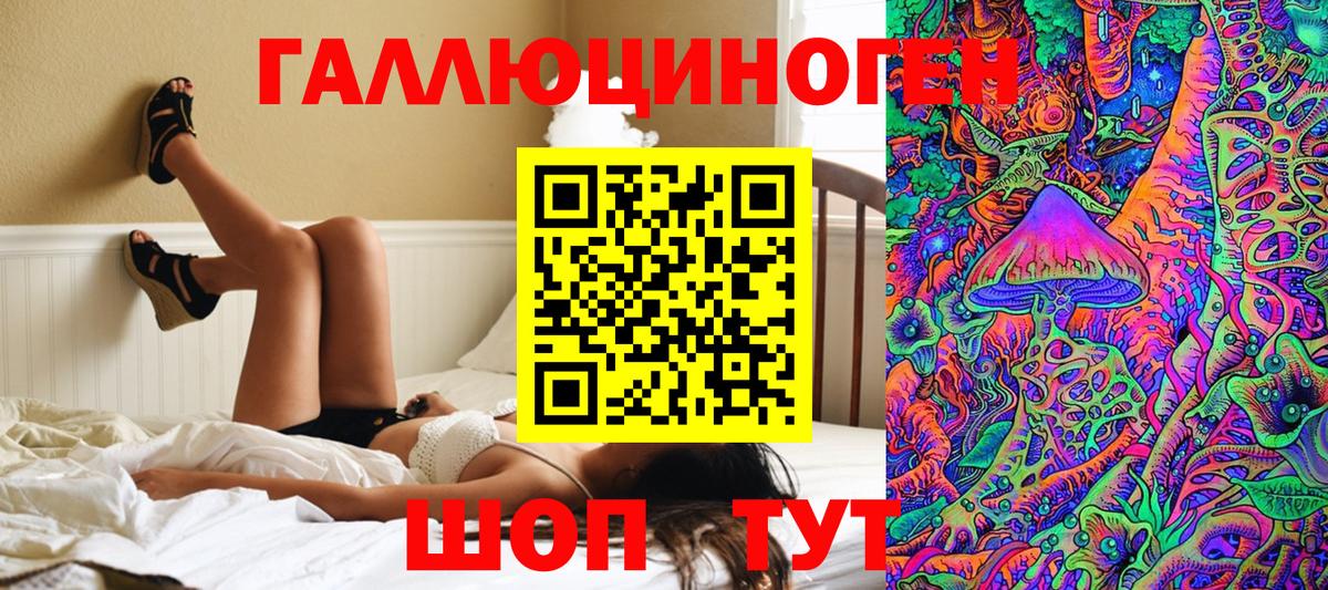 Шебекино  Псилоцибиновые грибы мухоморы  Вход с VPN 